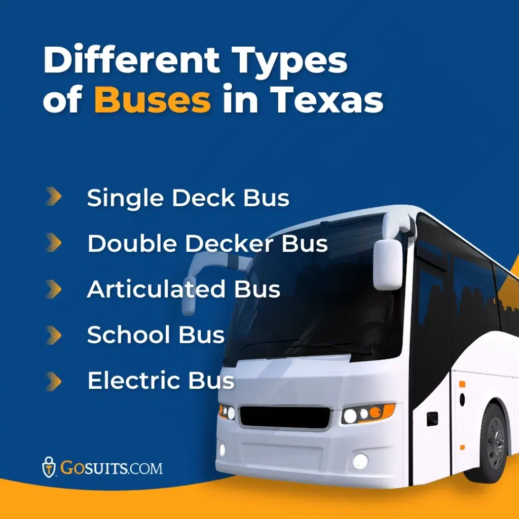 Different types of buses in texas