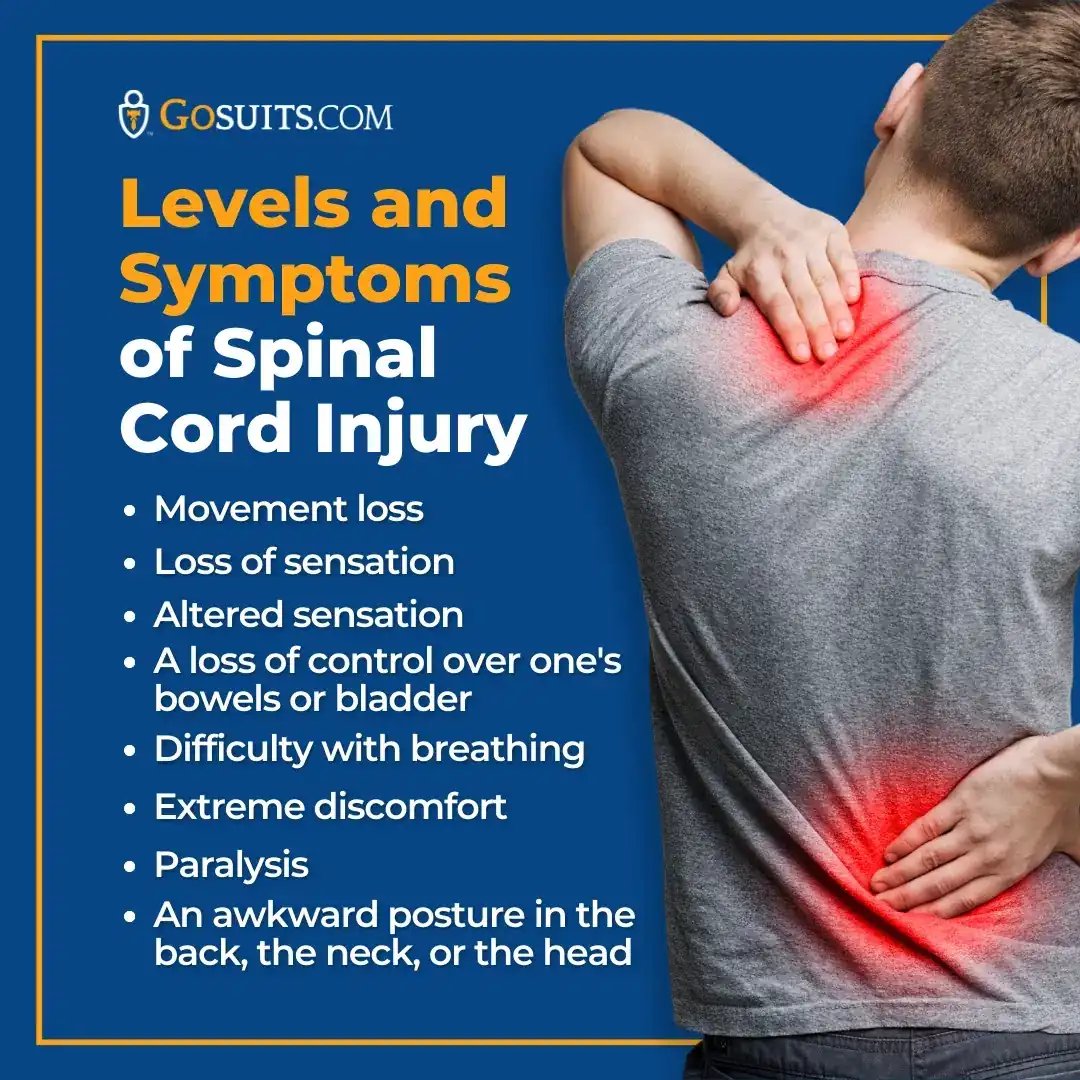 Infographic of spinal cord injury levels and symptoms