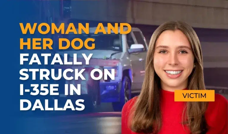 Woman and Her Dog Fatally Struck on I-35E in Dallas