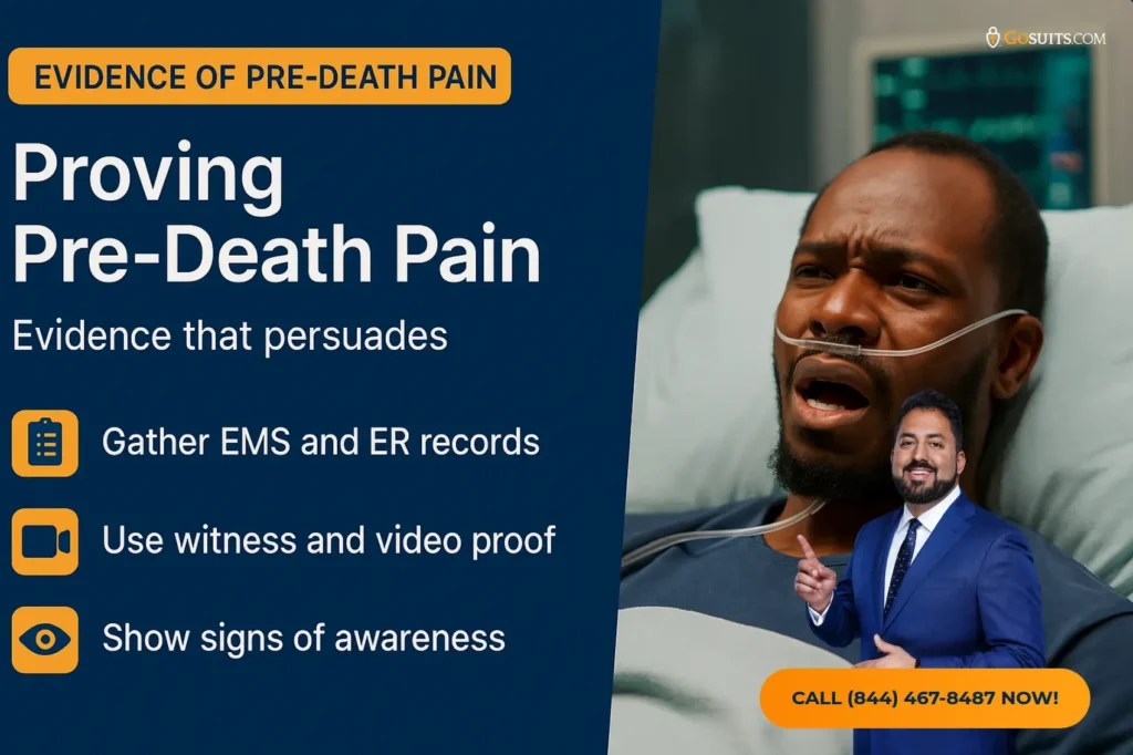 Dallas Survival Action Pain & Suffering Damages | GoSuits Infographic