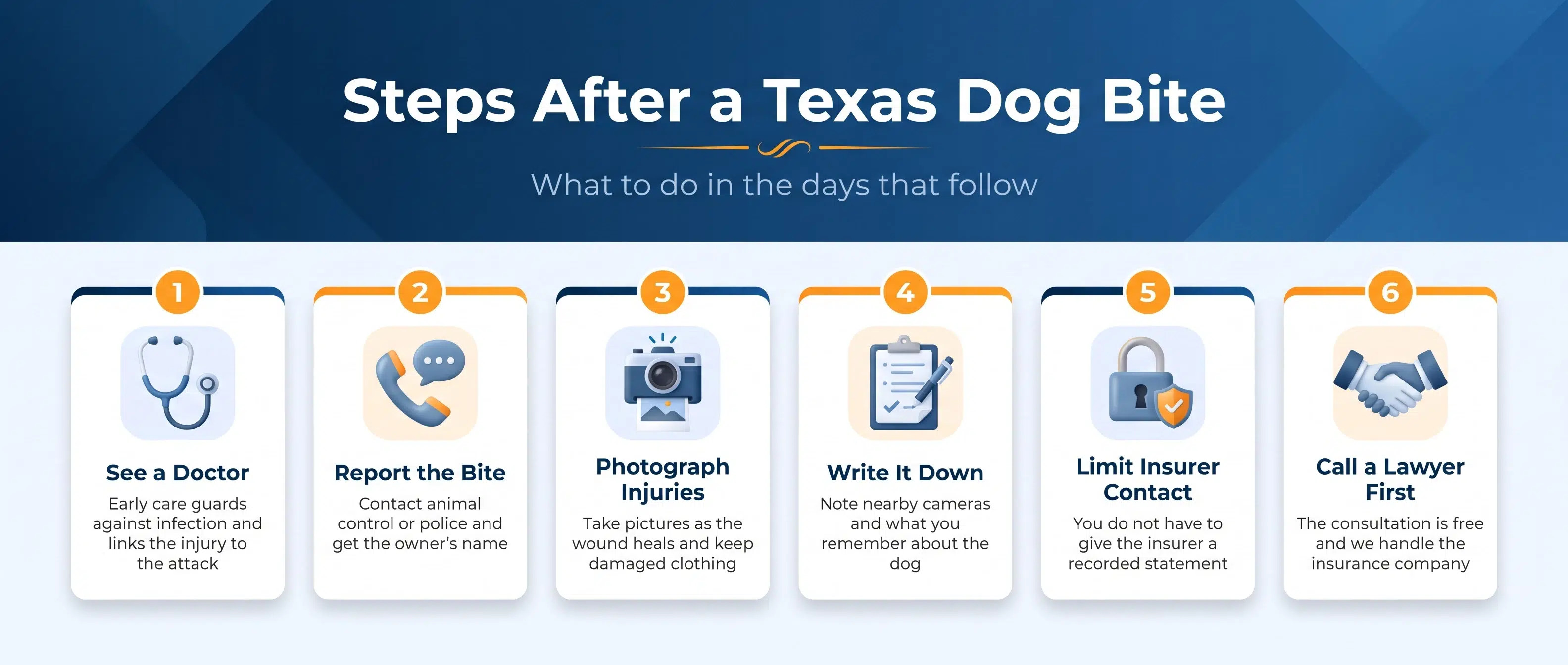 Six steps to take in the days after a Texas dog bite, from medical care to calling a lawyer